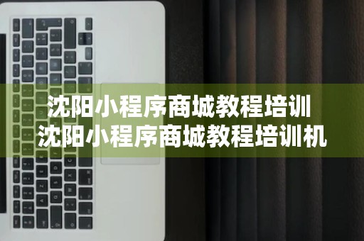 沈阳小程序商城教程培训 沈阳小程序商城教程培训机构