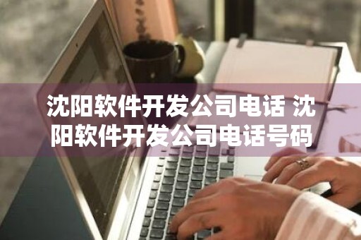 沈阳软件开发公司电话 沈阳软件开发公司电话号码