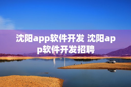 沈阳app软件开发 沈阳app软件开发招聘