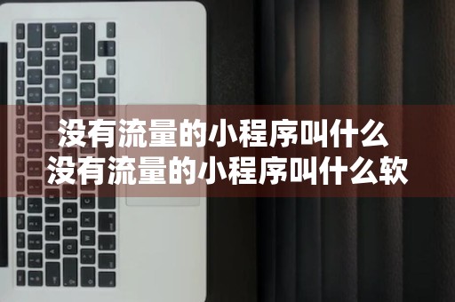 没有流量的小程序叫什么 没有流量的小程序叫什么软件