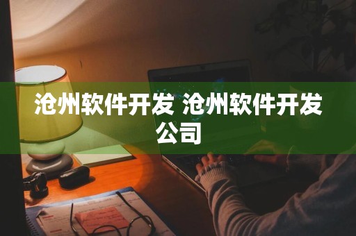 沧州软件开发 沧州软件开发公司