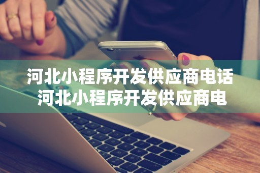 河北小程序开发供应商电话 河北小程序开发供应商电话是多少