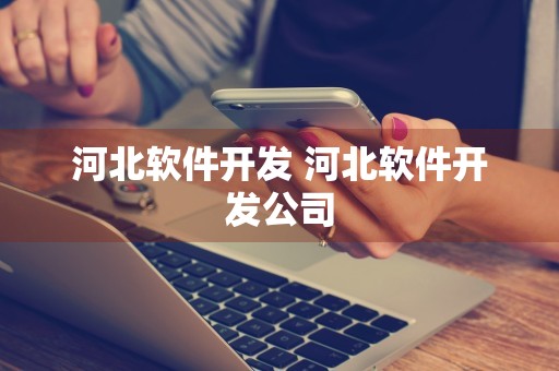 河北软件开发 河北软件开发公司