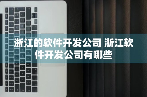 浙江的软件开发公司 浙江软件开发公司有哪些