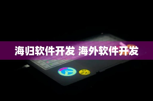 海归软件开发 海外软件开发