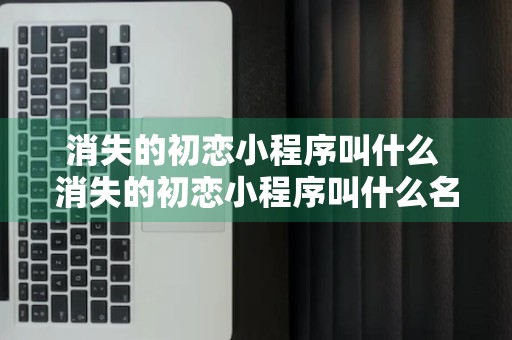 消失的初恋小程序叫什么 消失的初恋小程序叫什么名字