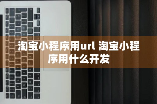 淘宝小程序用url 淘宝小程序用什么开发