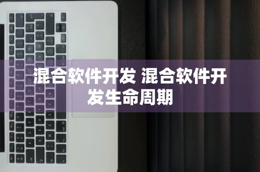 混合软件开发 混合软件开发生命周期