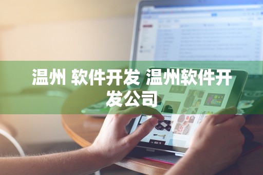 温州 软件开发 温州软件开发公司