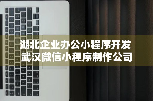 湖北企业办公小程序开发 武汉微信小程序制作公司