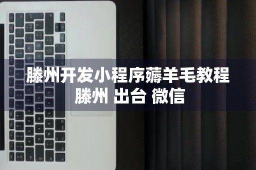 滕州开发小程序薅羊毛教程 滕州 出台 微信