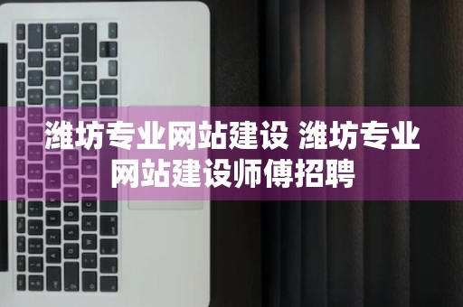 潍坊专业网站建设 潍坊专业网站建设师傅招聘