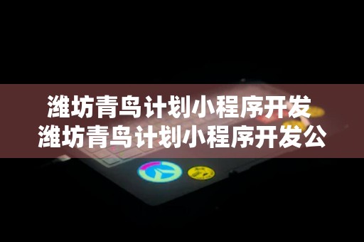 潍坊青鸟计划小程序开发 潍坊青鸟计划小程序开发公司