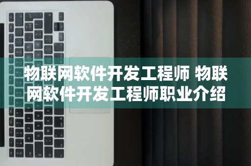 物联网软件开发工程师 物联网软件开发工程师职业介绍