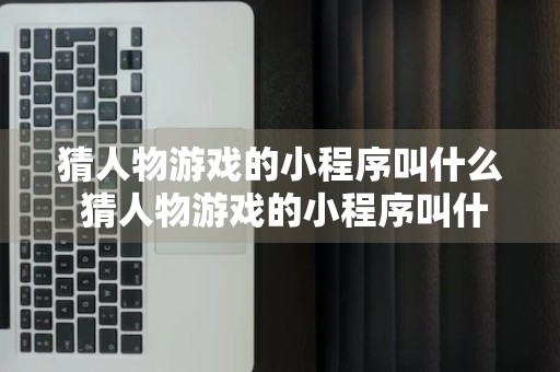 猜人物游戏的小程序叫什么 猜人物游戏的小程序叫什么来着