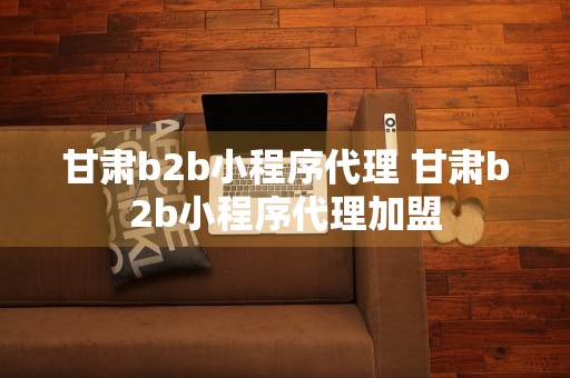 甘肃b2b小程序代理 甘肃b2b小程序代理加盟