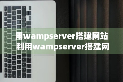 用wampserver搭建网站 利用wampserver搭建网站