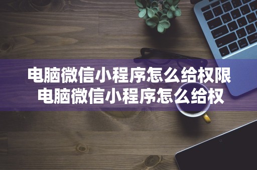 电脑微信小程序怎么给权限 电脑微信小程序怎么给权限设置密码