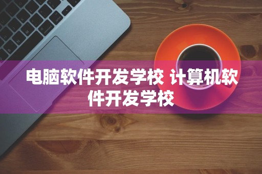 电脑软件开发学校 计算机软件开发学校