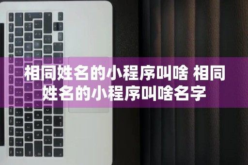 相同姓名的小程序叫啥 相同姓名的小程序叫啥名字