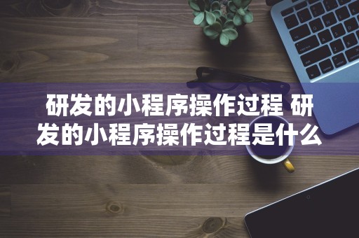 研发的小程序操作过程 研发的小程序操作过程是什么