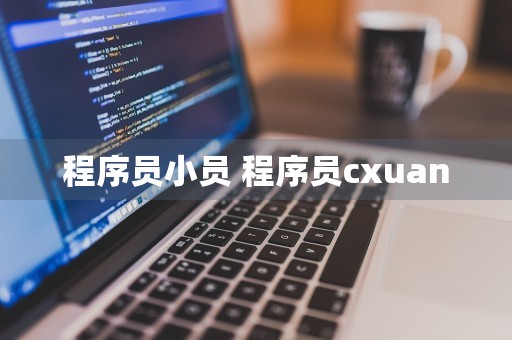 程序员小员 程序员cxuan