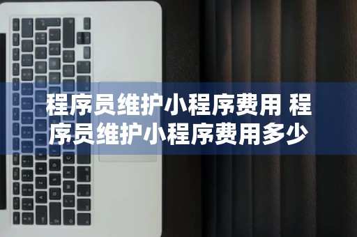 程序员维护小程序费用 程序员维护小程序费用多少