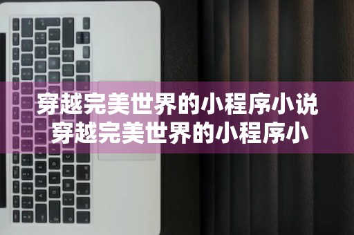 穿越完美世界的小程序小说 穿越完美世界的小程序小说叫什么