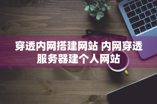 穿透内网搭建网站 内网穿透服务器建个人网站