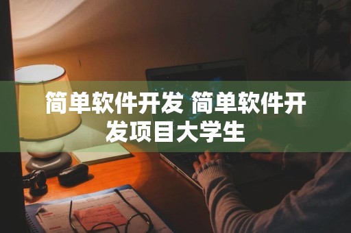 简单软件开发 简单软件开发项目大学生