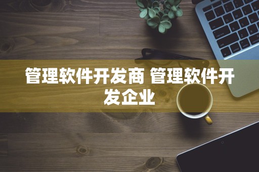 管理软件开发商 管理软件开发企业