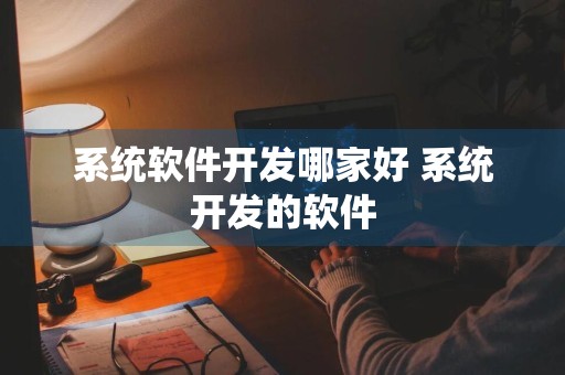 系统软件开发哪家好 系统开发的软件