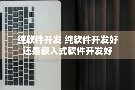 纯软件开发 纯软件开发好还是嵌入式软件开发好