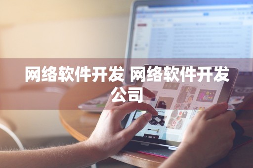 网络软件开发 网络软件开发公司