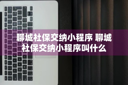 聊城社保交纳小程序 聊城社保交纳小程序叫什么