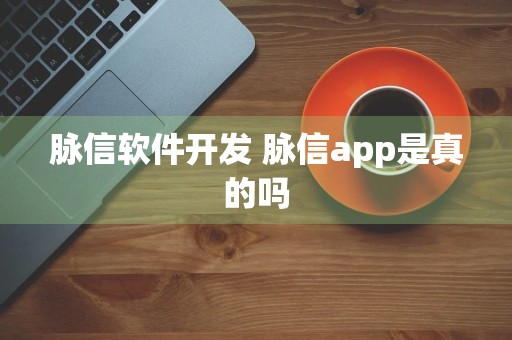 脉信软件开发 脉信app是真的吗