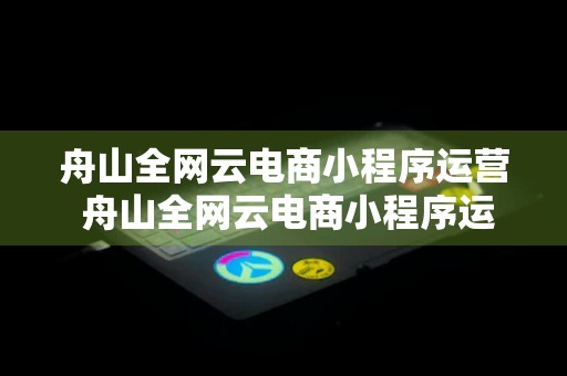 舟山全网云电商小程序运营 舟山全网云电商小程序运营公司