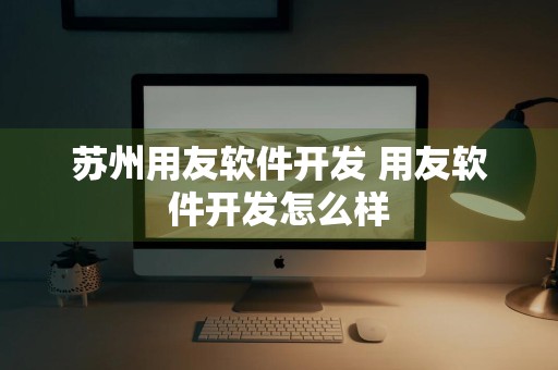 苏州用友软件开发 用友软件开发怎么样