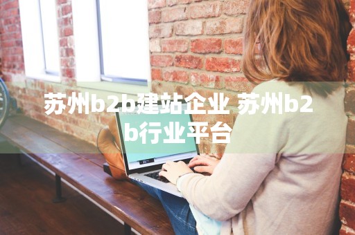 苏州b2b建站企业 苏州b2b行业平台