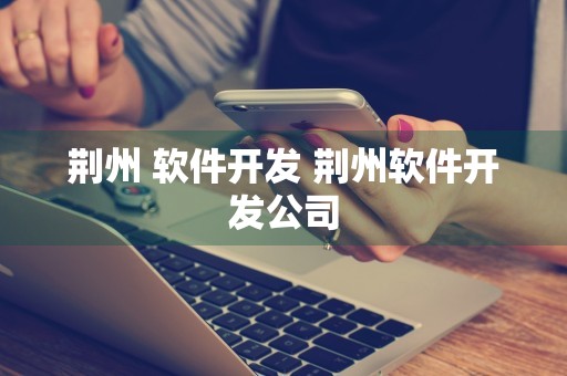 荆州 软件开发 荆州软件开发公司