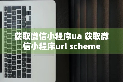 获取微信小程序ua 获取微信小程序url scheme