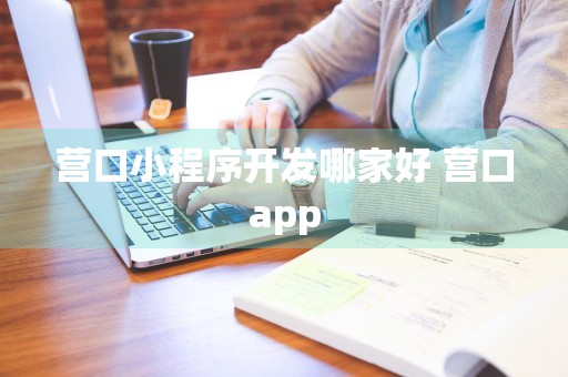 营口小程序开发哪家好 营口app