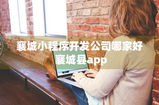 襄城小程序开发公司哪家好 襄城县app