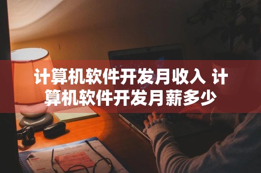 计算机软件开发月收入 计算机软件开发月薪多少