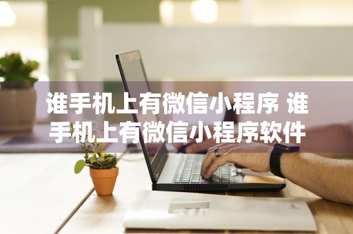 谁手机上有微信小程序 谁手机上有微信小程序软件