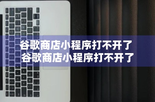 谷歌商店小程序打不开了 谷歌商店小程序打不开了