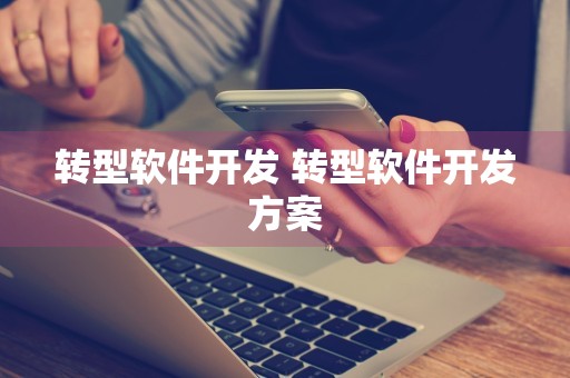 转型软件开发 转型软件开发方案