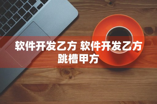 软件开发乙方 软件开发乙方跳槽甲方