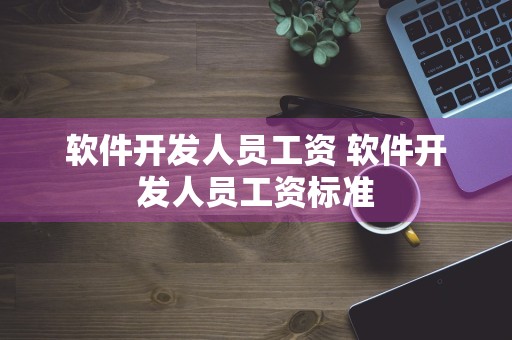 软件开发人员工资 软件开发人员工资标准