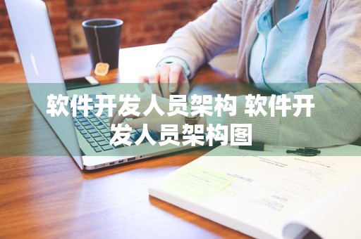 软件开发人员架构 软件开发人员架构图